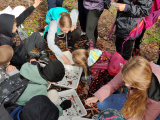 IMG_20241001_101629-1