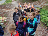 IMG_20240930_143745