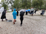 IMG_20241002_112849