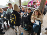 IMG_20241004_112950